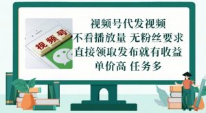视频号代发视频,无需做视频,无需写文案,不看播放量,无粉丝要求,直接领取发布就有收益【揭秘】-互联网资源大全网