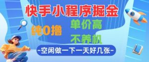 快手小程序掘金，纯0撸，单价高不养机 利用空闲时间做一做，一天好几张【揭秘】-互联网资源大全网