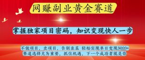 网创副业黄全赛道,掌握独家项目密码,知识变现快人一步,告别韭菜轻松实现单日变现1k+【揭秘】-第一资源库