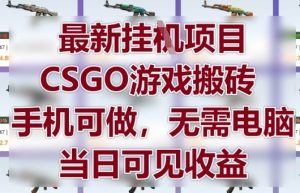 最新挂G项目，CSGO游戏搬砖，手机可做，无需电脑，当日见收益【揭秘】-互联网资源大全网
