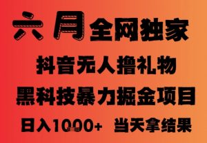 25年6月抖音无人直播最新暴力撸音浪掘金,小白可做,可批量矩阵放大,长期稳定日入1k+【揭秘】-互联网资源大全网