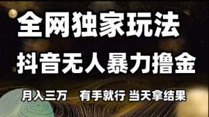 全网独家玩法抖音无人暴力撸金,月入3W,有手就行,当天拿结果【揭秘】-互联网资源大全网