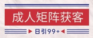 小红书某音橙人赛道引流获客,自热矩阵日引200+【揭秘】-互联网资源大全网