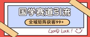 小红书某音国学赛道引流获客 自热矩阵日引200+【揭秘】-互联网资源大全网