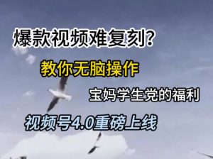 视频号4.0重磅上线，爆款视频难复刻？教你无脑操作宝妈学生党的福利【揭秘】-第一资源库