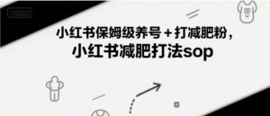 小红书保姆级养号+打减肥粉，小红书减肥打法sop-互联网资源大全网