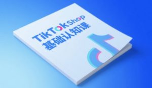 TikTok小店基础认知课，助力学员从 0 到 1 掌握 TikTok 电商运营全链路认知-互联网资源大全网