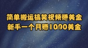简单搬运搞笑视频挣美金,新手一个月入1k美金-互联网资源大全网