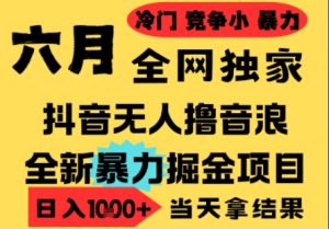 25年6月高爆抖音无人直播最新撸音浪掘金项目,小白可做,无脑日入1k+,门槛低可批量矩阵【揭秘】-互联网资源大全网