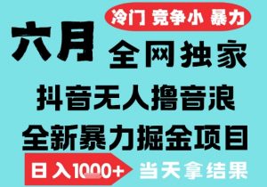2025年6月高爆抖音无人直播最新撸音浪掘金项目，无脑日入1k+，低门槛小白可做，可矩阵放大【揭秘】-互联网资源大全网