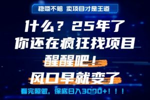 什么?25年你还在疯狂找项目做,醒醒吧,看完这些你全都懂了!【揭秘】-互联网资源大全网
