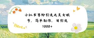 小红书男粉引流项目之美女账号6,简单制作,条条爆款原创,不违规-互联网资源大全网