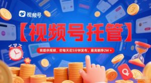 【视频号托管 】我提供视频,你每天花5分钟发布,最高躺挣2W+【揭秘】-互联网资源大全网