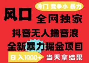 25年6月高爆抖音无人直播最新撸音浪掘金项目，解放双手小白可做，无脑日入1k+，门槛低【揭秘】-互联网资源大全网