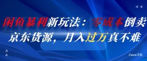 闲鱼暴利新玩法：零成本倒卖京东货源，月入过1W真不难-互联网资源大全网