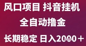 风口项目,六月最新玩法抖音无人挂G,全自动撸金,长期稳定 日入2k+【揭秘】-互联网资源大全网