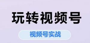 玩转视频号,视频号实战系列课-互联网资源大全网
