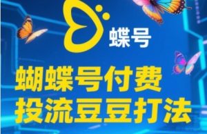 2025蝴蝶号付费投流豆豆打法，助新手快速掌握付费流量撬动自然流的核心玩法-互联网资源大全网