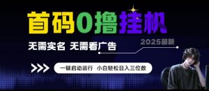 首码0撸挂G项目，无需实名无需看广告 一键启动运行，小白轻松日入三位数【揭秘】-互联网资源大全网