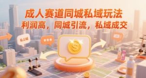 成人赛道同城私域玩法，利润高，同城引流，私域成交-第一资源库