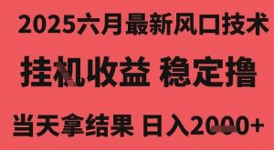 2025六月最新风口技术,无人挂G撸礼物,长期稳定 一个小时收益2k+,小白当天拿结果【揭秘】-互联网资源大全网