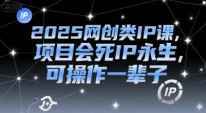 2025网创类IP课，项目会死IP永生，可操作一辈子-互联网资源大全网