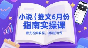 小说推文6月份指南实操课，看完视频教程，0粉就可做-互联网资源大全网