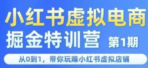 小红书虚拟电商掘金特训营第1期,从0到1,带你玩转小红书虚拟店铺-互联网资源大全网