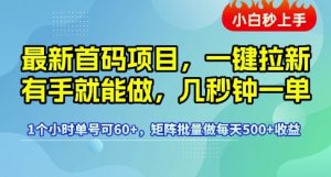 最新首码项目，一键拉新有手就能做，几秒钟一单，1个小时单号可60+，矩阵批量做每天5张【揭秘】-互联网资源大全网