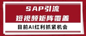 小红书某音sap赛道引流获客 自热矩阵日引200+【揭秘】-互联网资源大全网