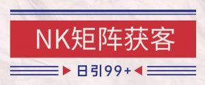 小红书某音NK赛道引流获客 自热矩阵日引200+【揭秘】-第一资源库