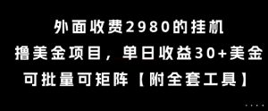 外面收费2980的挂G撸美金项目,单日收益30+美金,可批量可矩阵【揭秘】-互联网资源大全网
