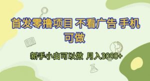 首发零撸项目 不看广告 手机可做 新手小白可以做 月入3k+【揭秘】-互联网资源大全网