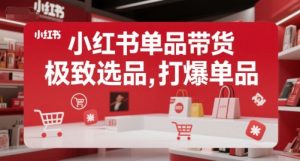 小红书单品带货,极致选品,打爆单品-互联网资源大全网
