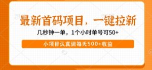 最新首码项目，操作最简单，收益高，一键拉新，1个小时单号可50+，小项目认真做每天5张+收益【揭秘】-第一资源库