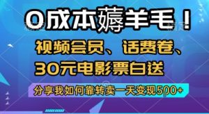 0成本薅羊毛!视频会员、话费卷、30元电影票白送,分享我如何靠转卖一天变现5张+【揭秘】-互联网资源大全网