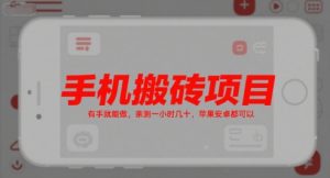 手机搬砖项目,有手就能做,亲测一小时几十,苹果安卓都可以-互联网资源大全网