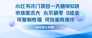 小红书冷门项目一天收益9张，市场需求大，0成本，可复制性强可以矩阵操作-互联网资源大全网