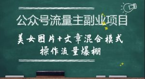 公众号流量主副业项目,美女图片+文章混合模式操作流量爆棚-互联网资源大全网