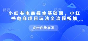 小红书电商掘金课，小红书电商项目玩法全流程拆解（更新7月）-互联网资源大全网