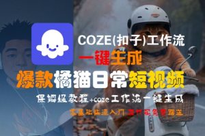 COZE(扣子)工作流一键生成爆款橘猫日常短视频,保姆级教程,零基础快速入门-互联网资源大全网