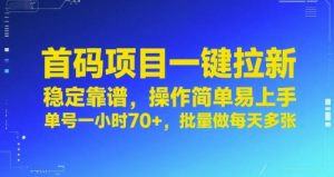 首码项目一键拉新,稳定靠谱,操作简单易上手,单号一小时70+,批量做每天多张【揭秘】-互联网资源大全网