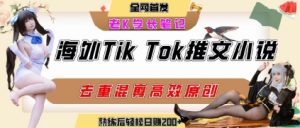 海外tiktok小说推文暴力项目,高停留率,高转化率,上手后一天搞顿饭钱不是问题-第一资源库