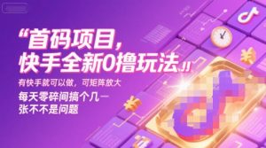 首码项目，快手全新0撸玩法，有快手就可以做，可矩阵放大，每天零碎时间搞个几张不是问题【揭秘】-互联网资源大全网