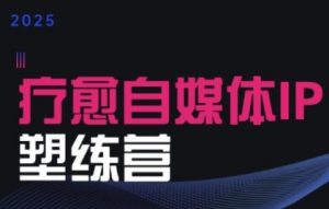 2025治愈自媒体IP训练营,专为疗愈领域从业者打造-互联网资源大全网