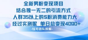 全新男粉变现项目引流人群35以上的男粉消费能力大 经过实测单日变现1k+-互联网资源大全网