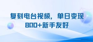 复刻电台视频,单日变现8张+新手友好,长期可做-互联网资源大全网