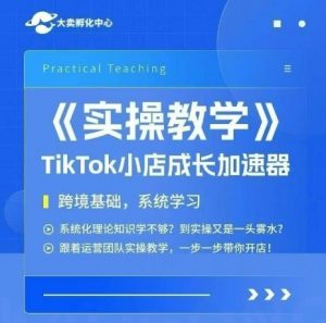 大卖家孵化中心TikTok实操课,TikTok小店成长加速器,跨境基础系统学习,一步一步带你开店-互联网资源大全网