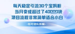 每天稳定引流30个人 当月变成超过了4个W项目流程非常简单适合小白-互联网资源大全网