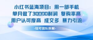 小红书蓝海项目,一部手机单月做了3W利润,小白也能月入过1W用户认可度高成交多-互联网资源大全网